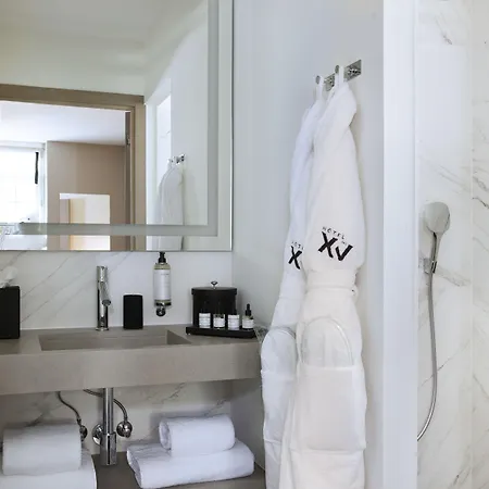 Hotel Boutique Des Xv Straatsburg