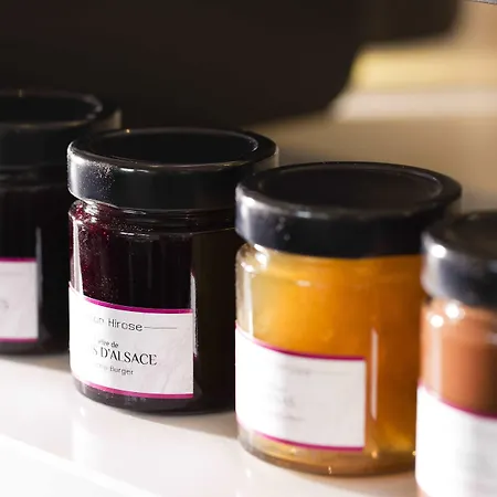 Hotel Boutique Des Xv Straatsburg