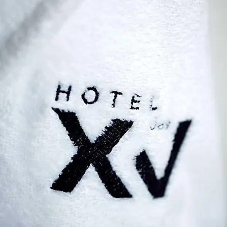 Boutique Des Xv Hotel 4*