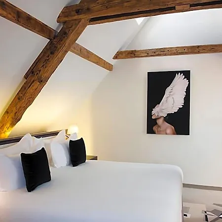 Boutique Des Xv 4* 스트라스부르