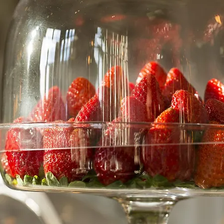 فندق Boutique Des Xv 4*