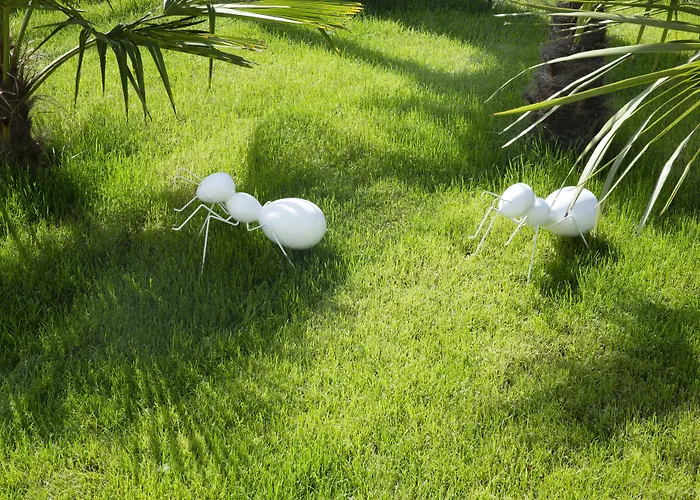 Boutique Des Xv Strasbourg