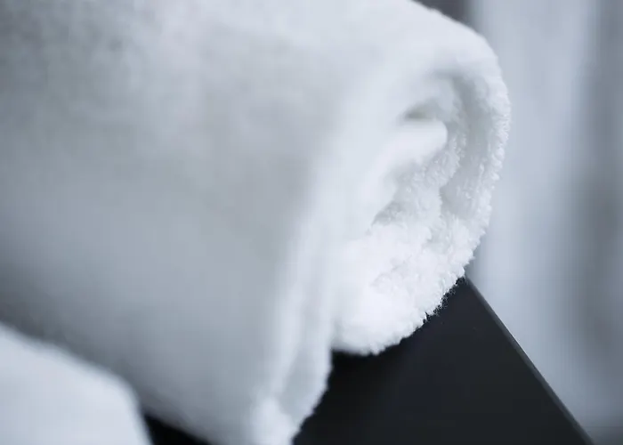 Hotel Boutique Des Xv